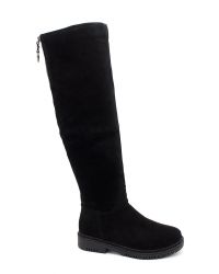 Сапоги на низком ходу 1576-176 1576-176 - фото